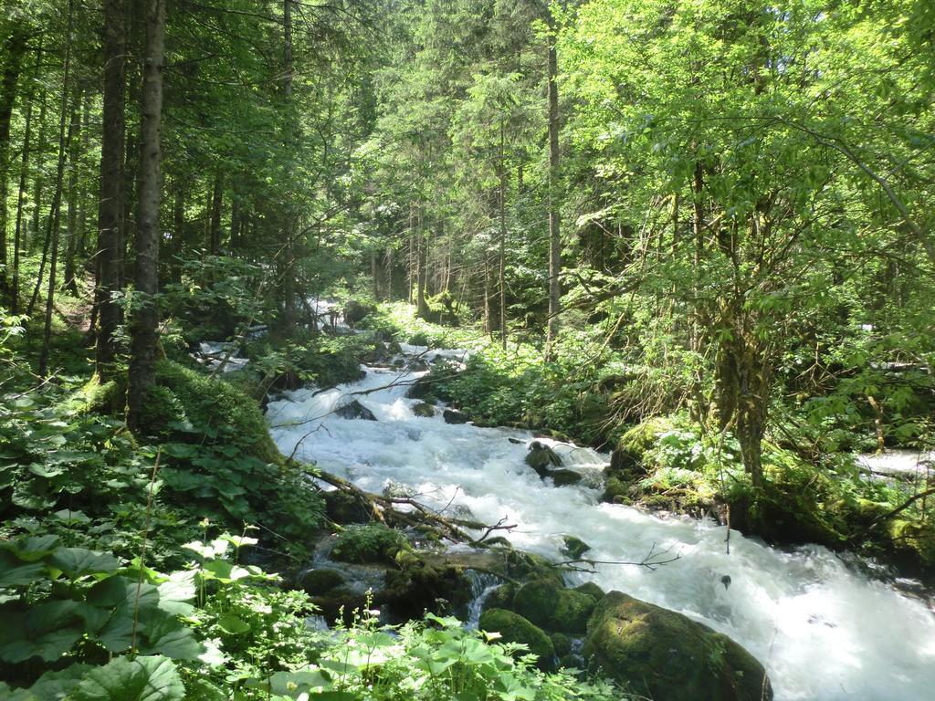 Pension Leprich Bad Goisern Esterno foto
