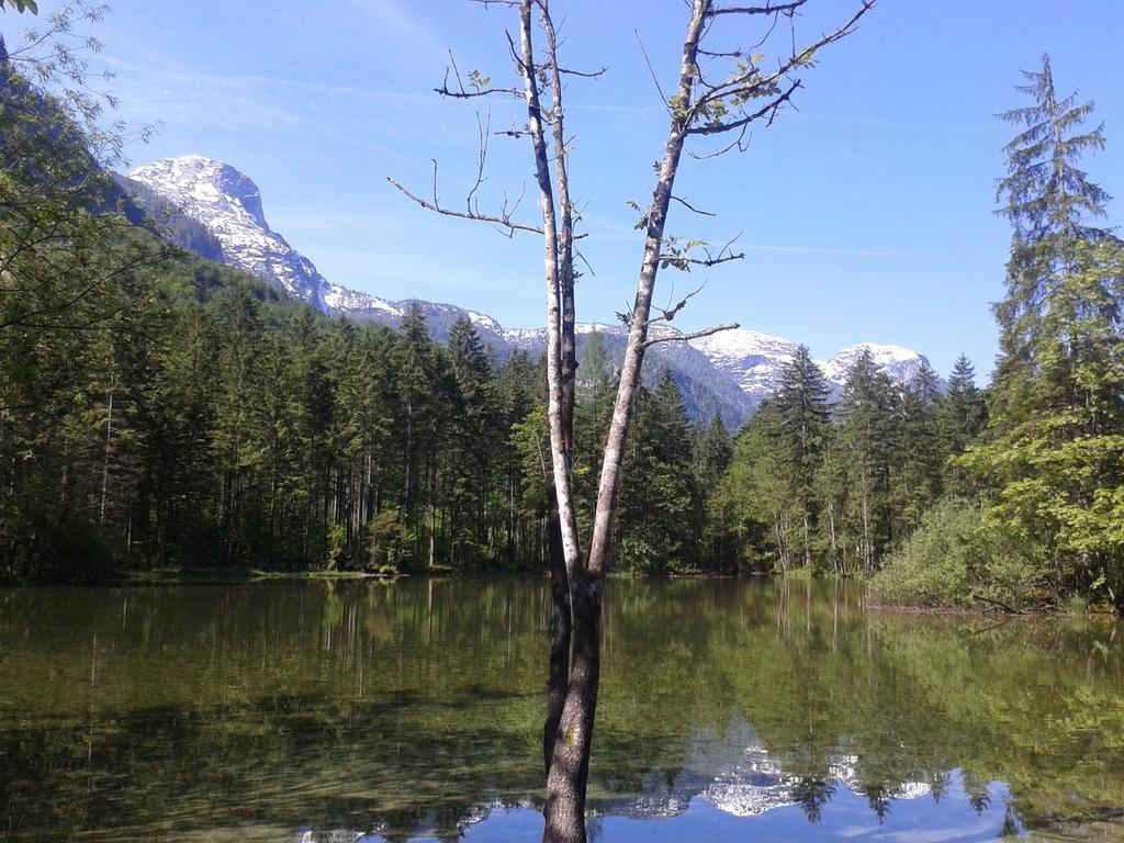 Pension Leprich Bad Goisern Esterno foto