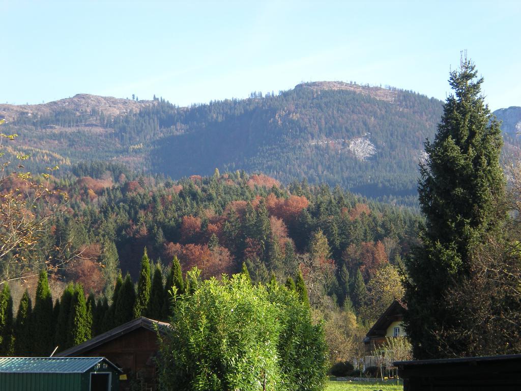 Pension Leprich Bad Goisern Esterno foto