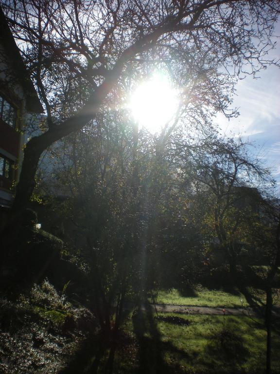 Pension Leprich Bad Goisern Esterno foto
