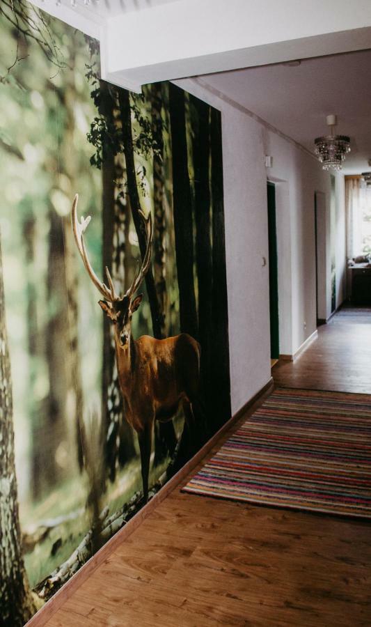 Pension Leprich Bad Goisern Esterno foto